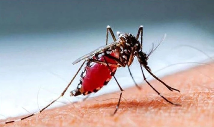 ডেঙ্গুতে প্রাণ গেল আরও ৫ জনের